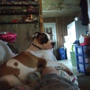 Meet your Posher, Wanda